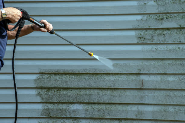 Best Gutter Cleaning and Brightening in Fort Clark Springs, TX